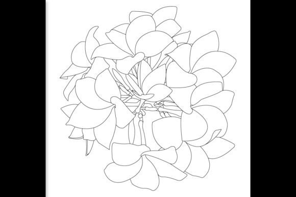 Creative Floral Hand Drawn Flower Design