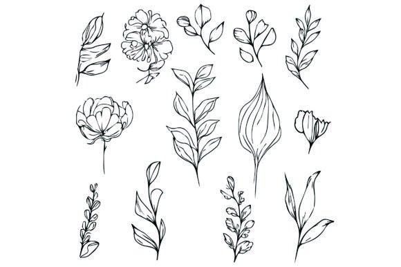 Set of Botanical Floral Elements