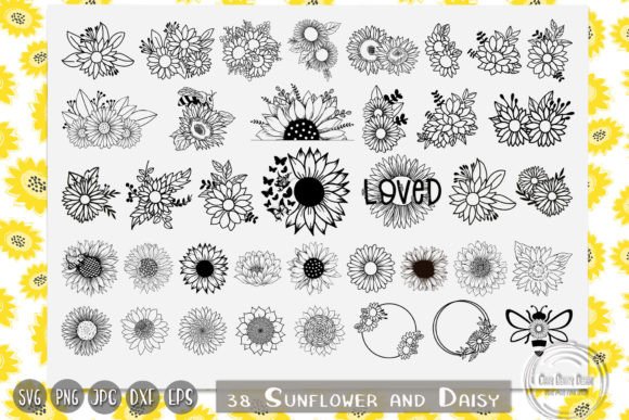 Sunflower, Daisy, Wildflowers, Floral